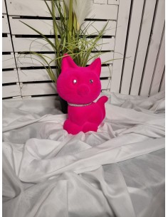 SKARBOKA   KOTEK   DUŻA... 2