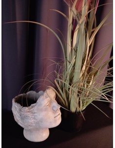 OSŁONKA DONICZKA NA ROŚLINY...