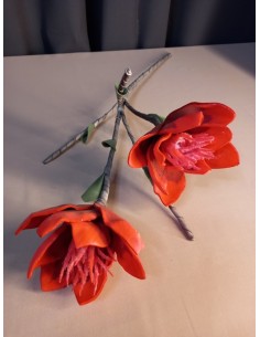 AMARYLIS CZERWONY GAŁĄZKA... 2