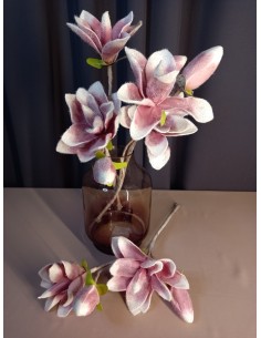 MAGNOLIE RÓŻOWE GAŁĄZKA...