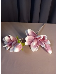 MAGNOLIE RÓŻOWE GAŁĄZKA... 2