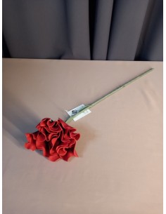 DŁUGA GAŁĄZKA Z PIĘKNYM... 2